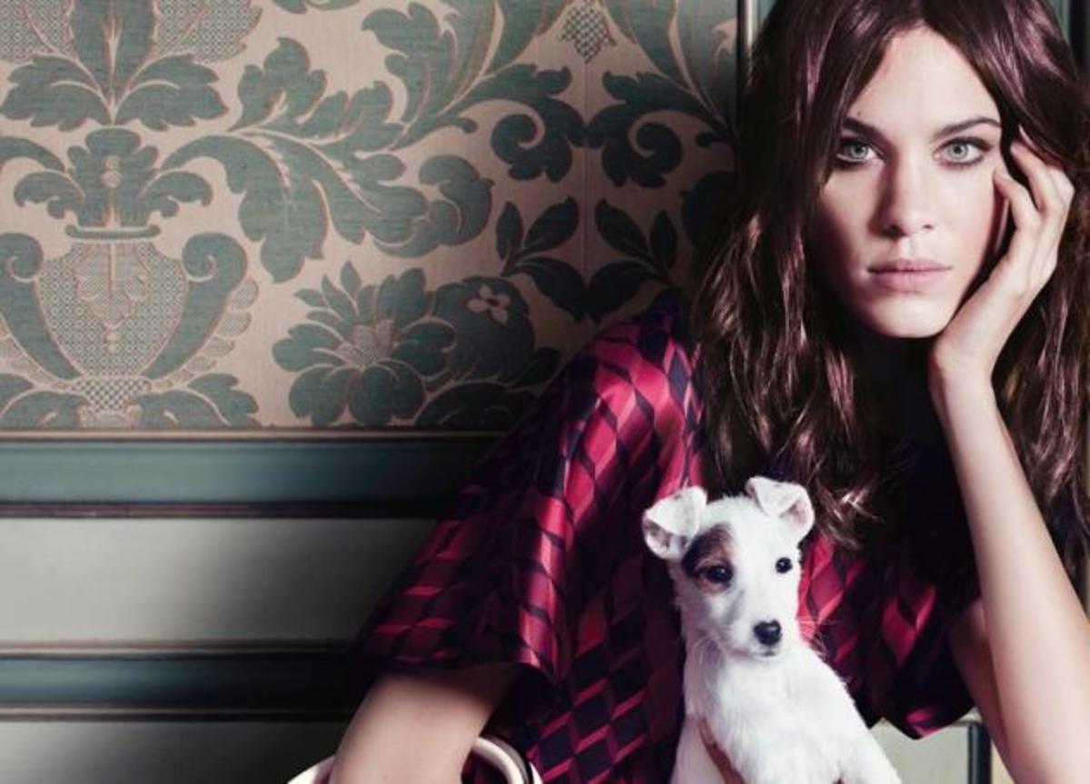 Alexa Chung! Ποζάρει με ένα κουτάβι αγκαλιά για τη νέα καμπάνια γνωστού οίκου