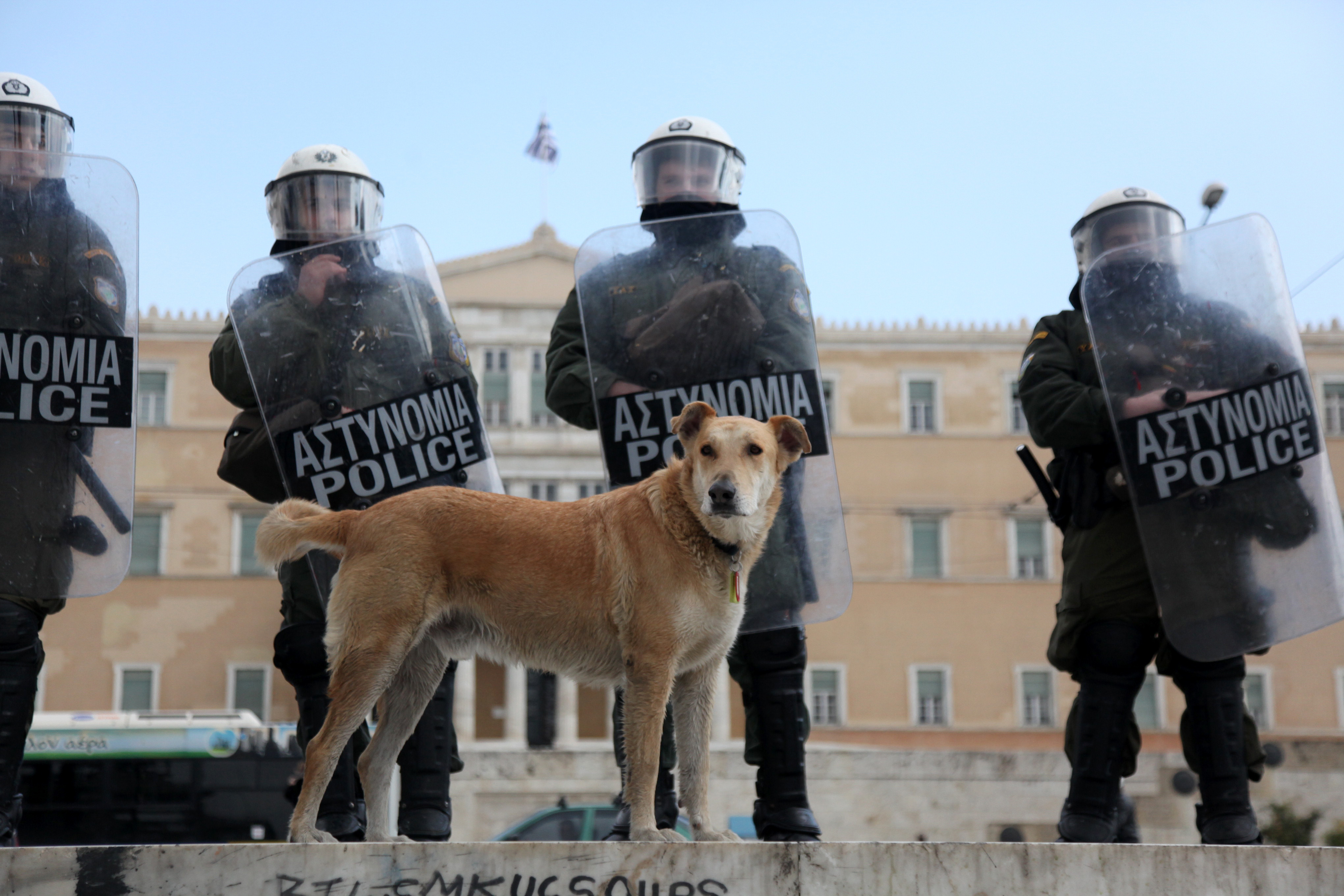 Φίλε, έφυγε ο Λουκάνικος (ΦΩΤΟ)