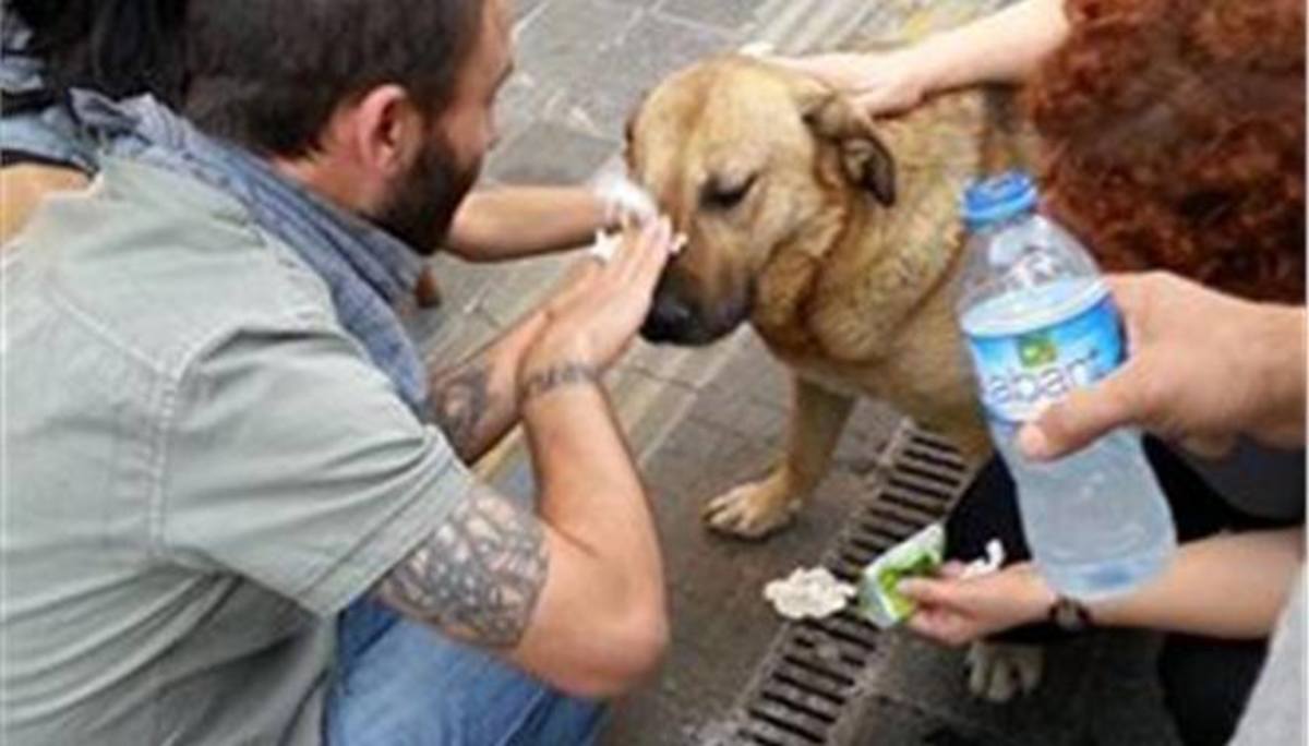 Ο Τούρκος Λουκάνικος και οι φίλοι του! – ΦΩΤΟ