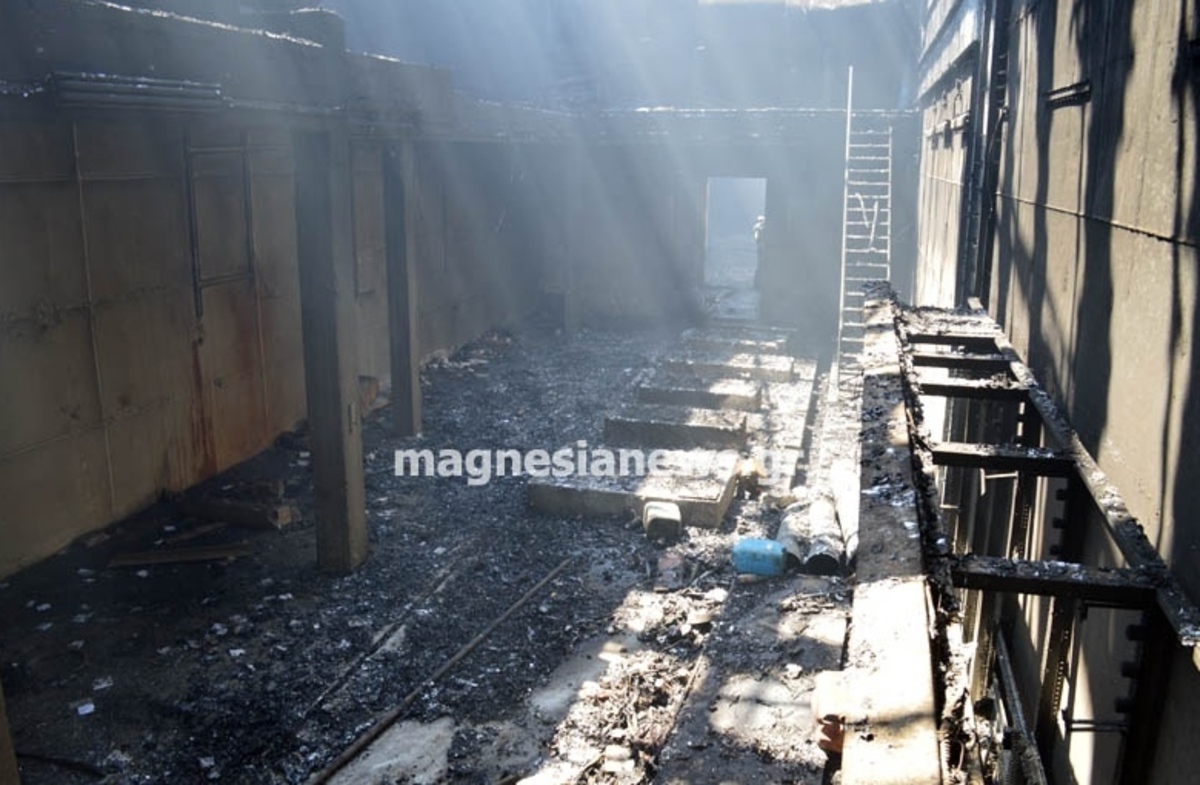 ΦΩΤΟ από το magnesianews