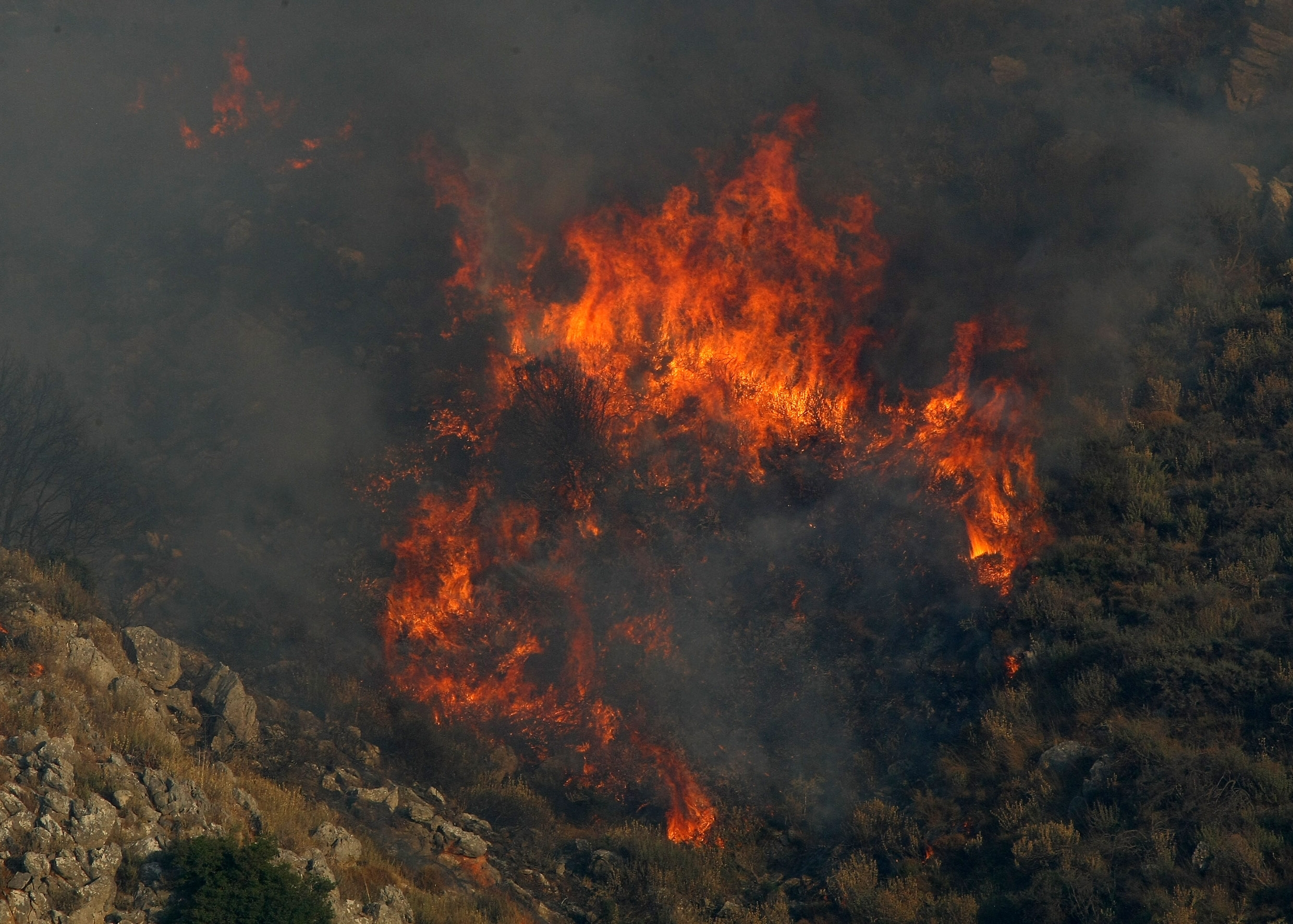 Πυρκαγιά σε εξέλιξη στο Αχλαδοχώρι – Υπό έλεγχο στο Μαίναλο