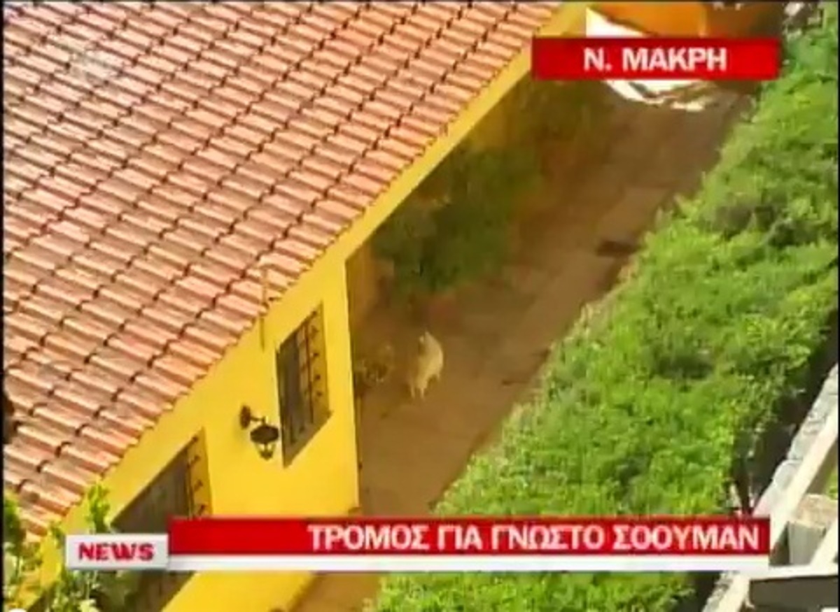 Tρόμος για γνωστό ηθοποιό