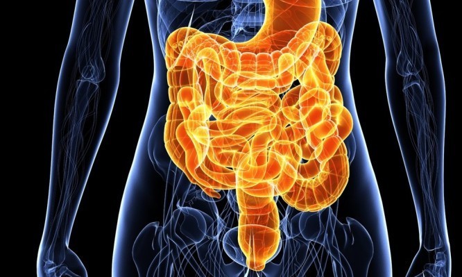 Σύνδρομο δυσαπορρόφησης: Προσοχή στα συμπτώματα – Ποιοι κινδυνεύουν