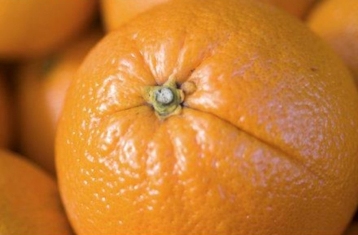 Προϊόν Προστατευμένης Γεωγραφικής Ενδειξης το Μανταρίνι Χίου