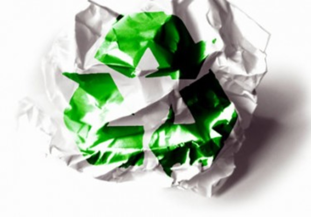 Εβδομάδες ανακύκλωσης χαρτιού στον Μαραθώνα!