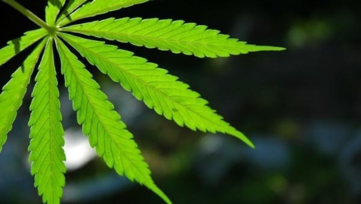 Οχάιο: Μαριχουάνα… STOP