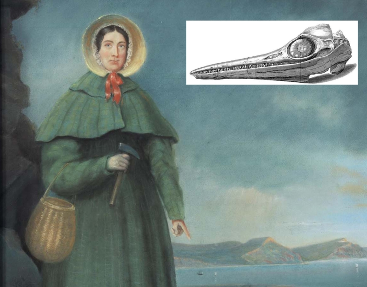 Mary Anning: Ποιά είναι η γυναίκα που τιμάει η Google