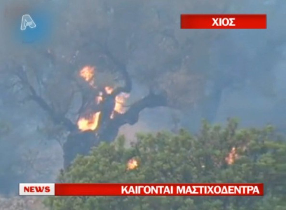 Κόλαση στη Χίο