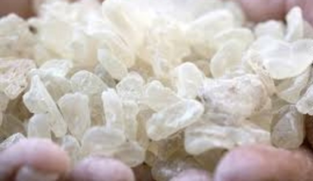 Τι έγινε με την μαστίχα Χίου και πήρε την σφραγίδα του Ευρωπαϊκού Οργανισμού Φαρμάκων;