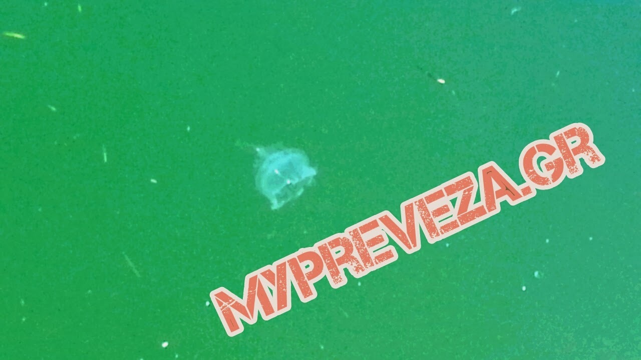 ΦΩΤΟ από το MyPreveza