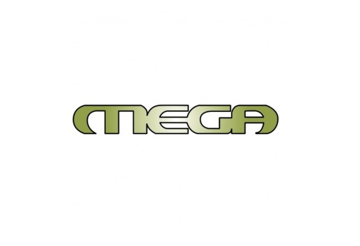 Ζημιά 19 εκατομμυρίων για το MEGA το 2012!