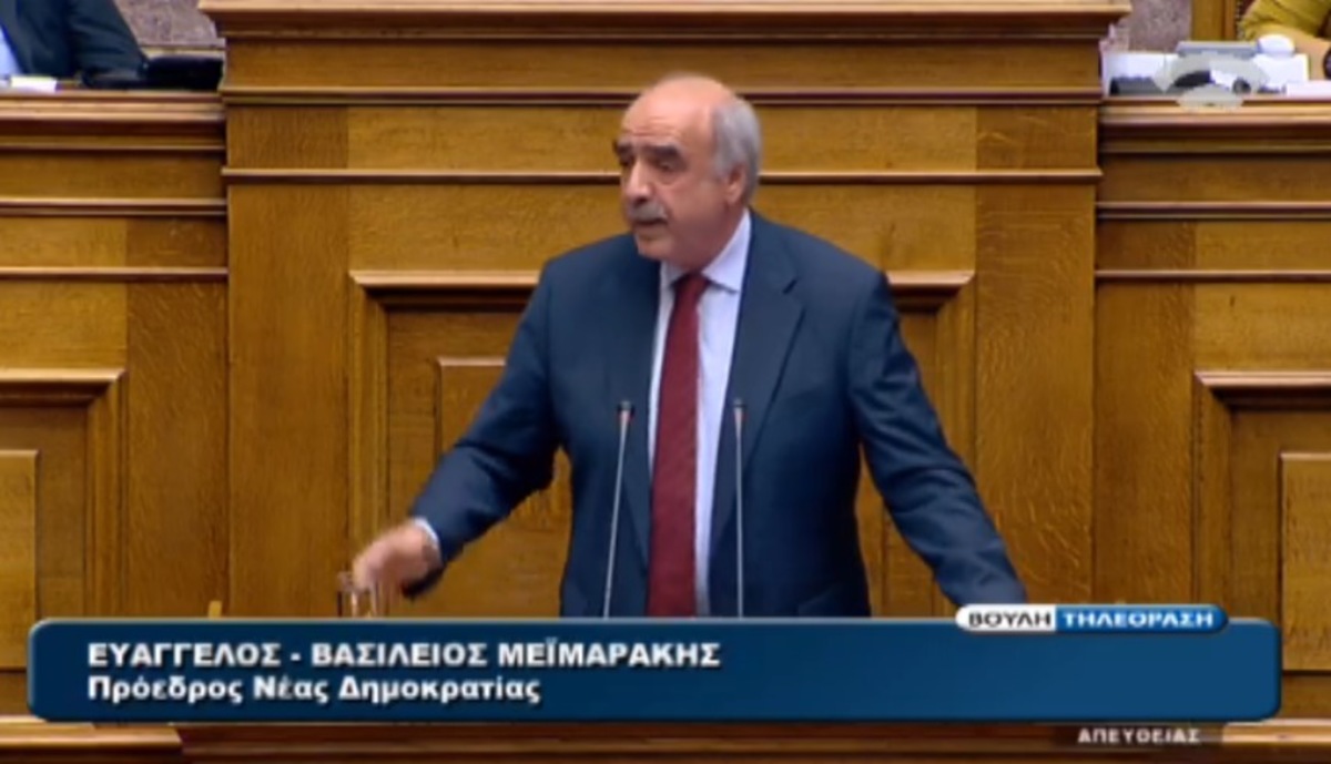 Ομιλία Μεϊμαράκη στη Βουλή