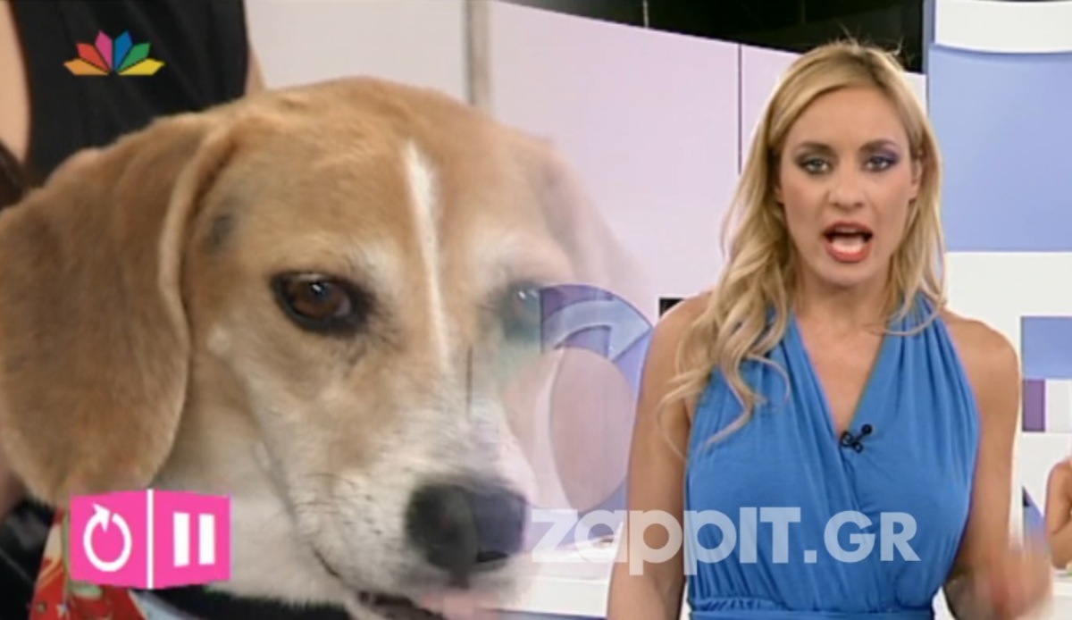 Έξω φρενών η Ελεονώρα με την ιδιοκτήτρια σκύλου!