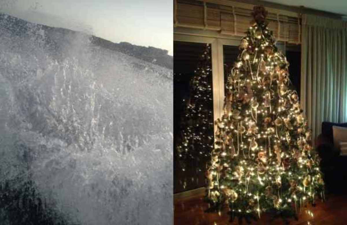Ποιά παρουσιάστρια κολύμπησε χθές στη θάλασσα και μετά στολισε το χριστουγεννιάτικο δέντρο;