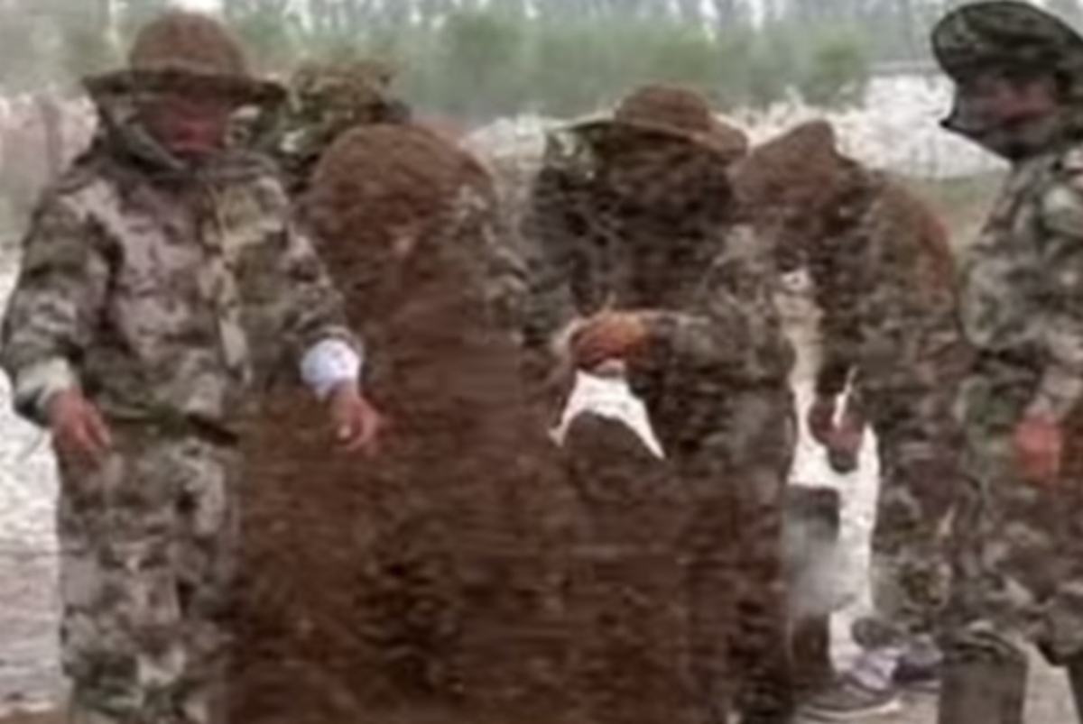 Έριξε πάνω του 109 κιλά μέλισσες για το ρεκόρ Γκίνες. Τα κατάφερε! (ΒΙΝΤΕΟ)