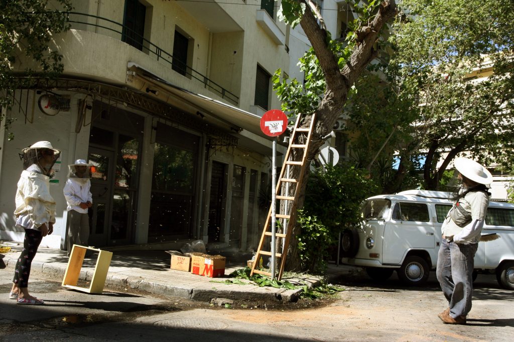 Ένα αδέσποτο… μελίσσι προκάλεσε πανικό στο Παγκράτι (ΦΩΤΟ)