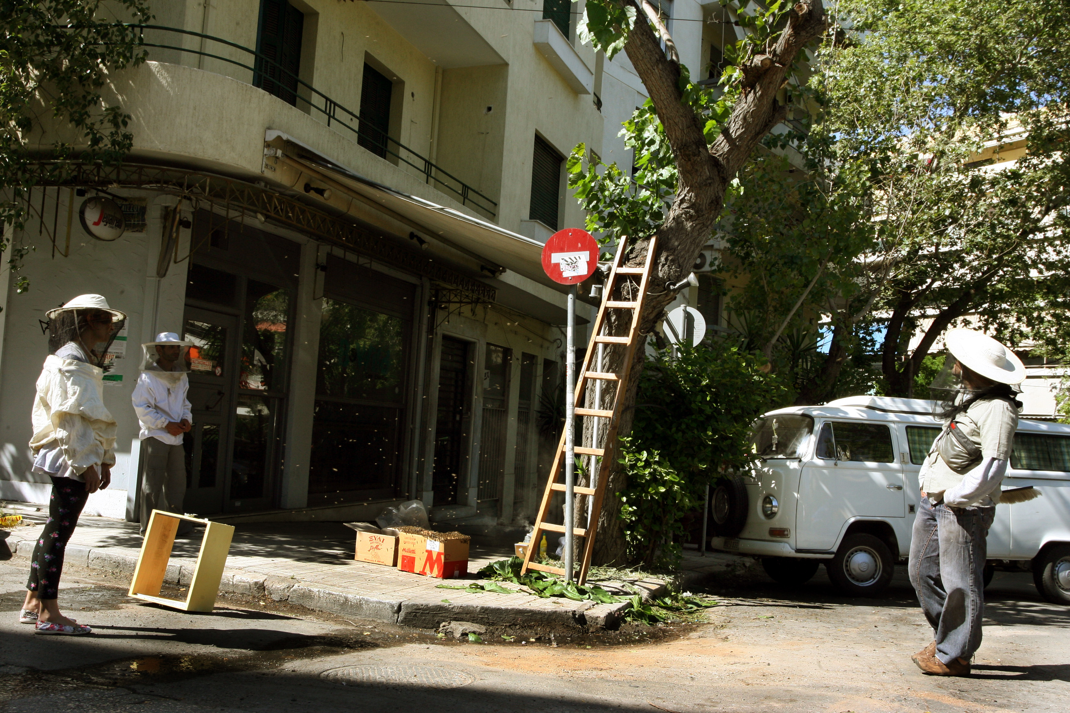 Ένα αδέσποτο… μελίσσι προκάλεσε πανικό στο Παγκράτι (ΦΩΤΟ)