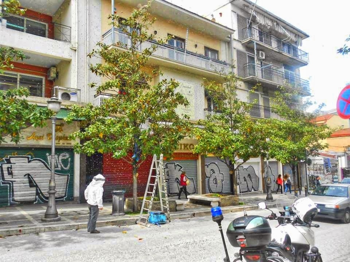 ΦΩΤΟ από epirusgate