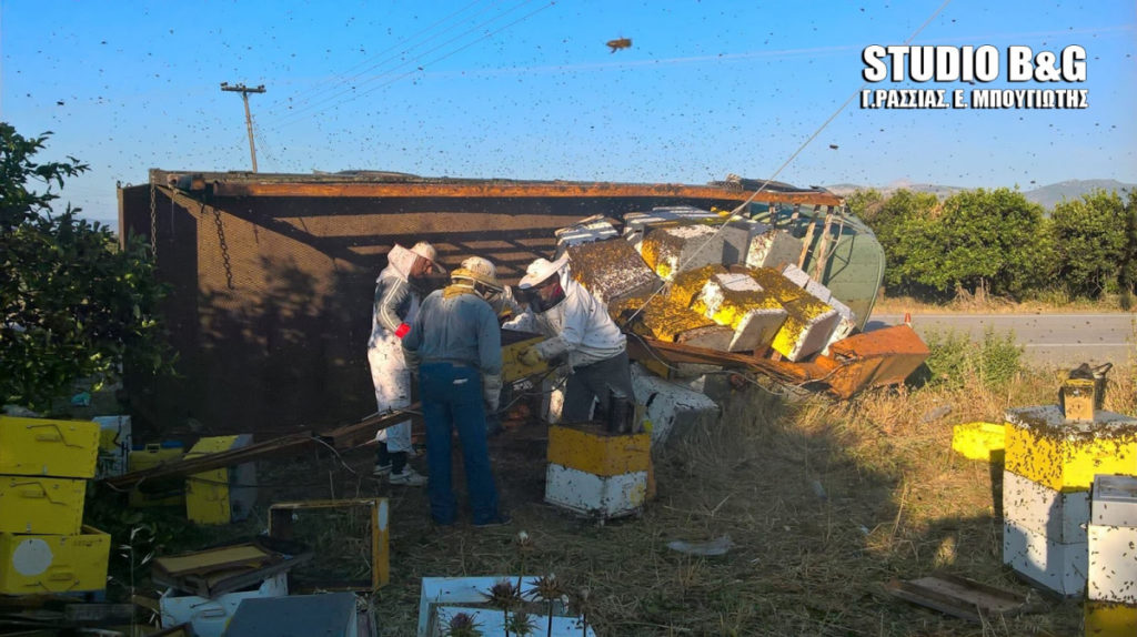 Ανατροπή φορτηγού με μελίσσια στην Αργολίδα – Απελευθερώθηκαν χιλιάδες μέλισσες! [pics]