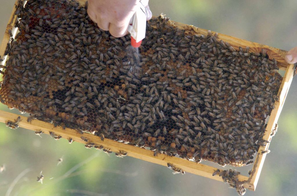 ΦΩΤΟ EUROKINISSI