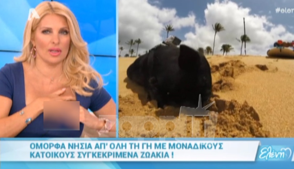 Η Μενεγάκη έφτιαχνε το στήθος της στον αέρα νομίζοντας ότι δεν τη δείχνουν!