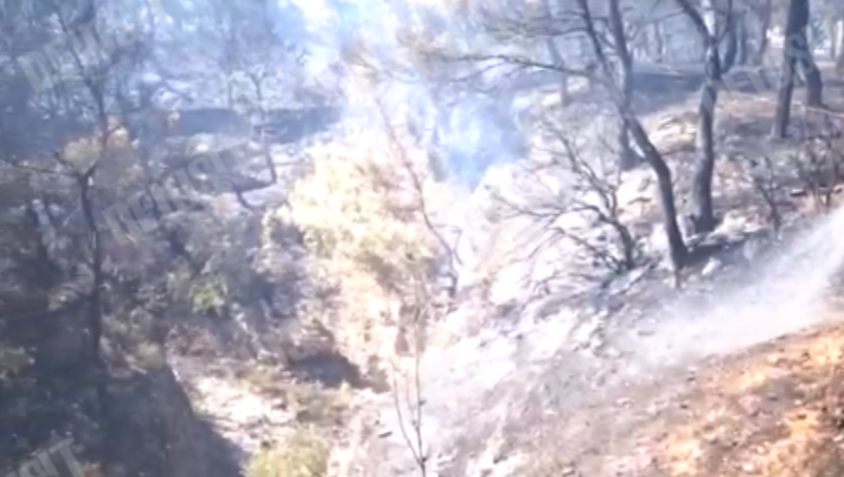 Φωτιά στο Μενίδι