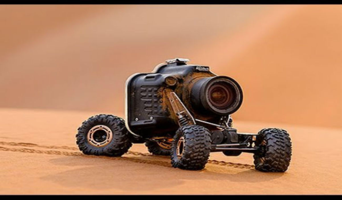 Toποθέτησε μια φωτογραφική μηχανή σε ρομπότ και το οδήγησε σε μια αγέλη λιονταριών – Δείτε το αποτέλεσμα!