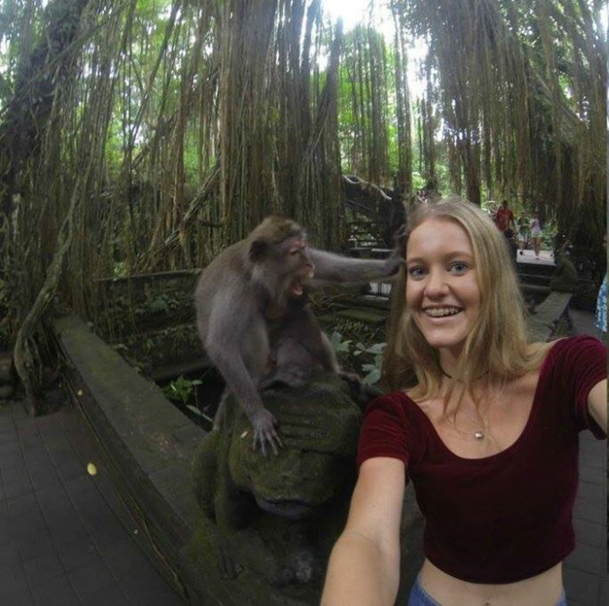 Μη βγάλετε ποτέ selfie με μακάκα… (ΦΩΤΟ)