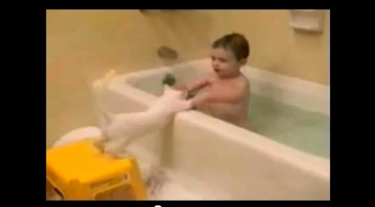 Μωρό τραβάει γάτα μέσα σε μπανιέρα!