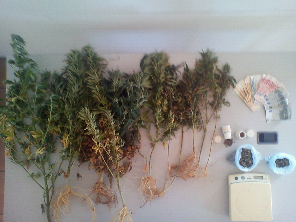 φωτό από astynomia.gr