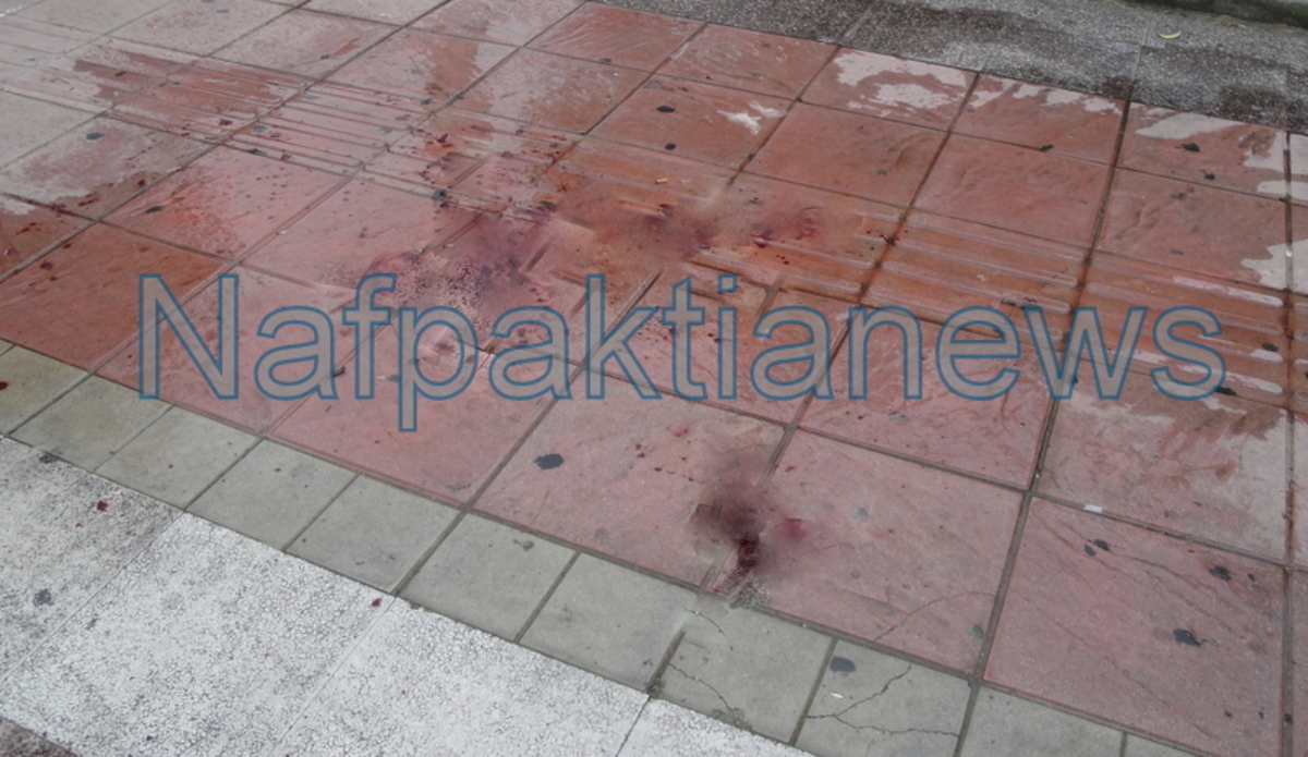 Άγριο ξύλο στην Ναύπακτο – Πιάστηκαν στα χέρια 20 άτομα