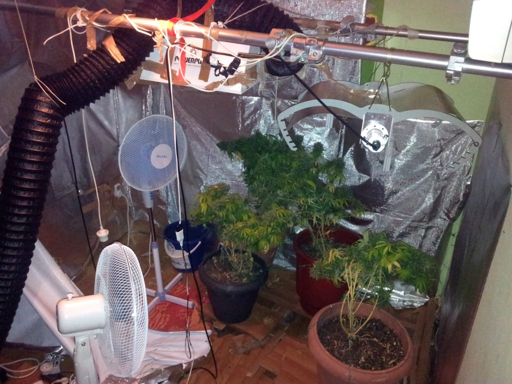 Είχε στήσει ολόκληρο εργαστήριο καλλιέργειας κάνναβης – ΦΩΤΟ