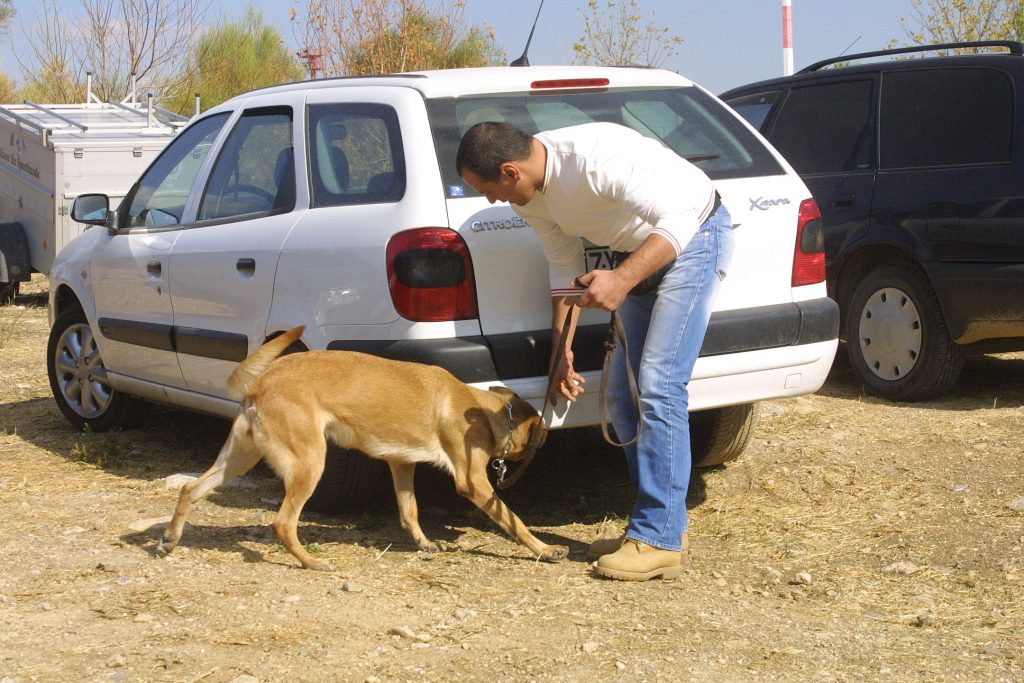 Πολλή δουλειά είχαν οι αστυνομικοί της ασφάλειας Τρίπολης - ΦΩΤΟ EUROKINISSI