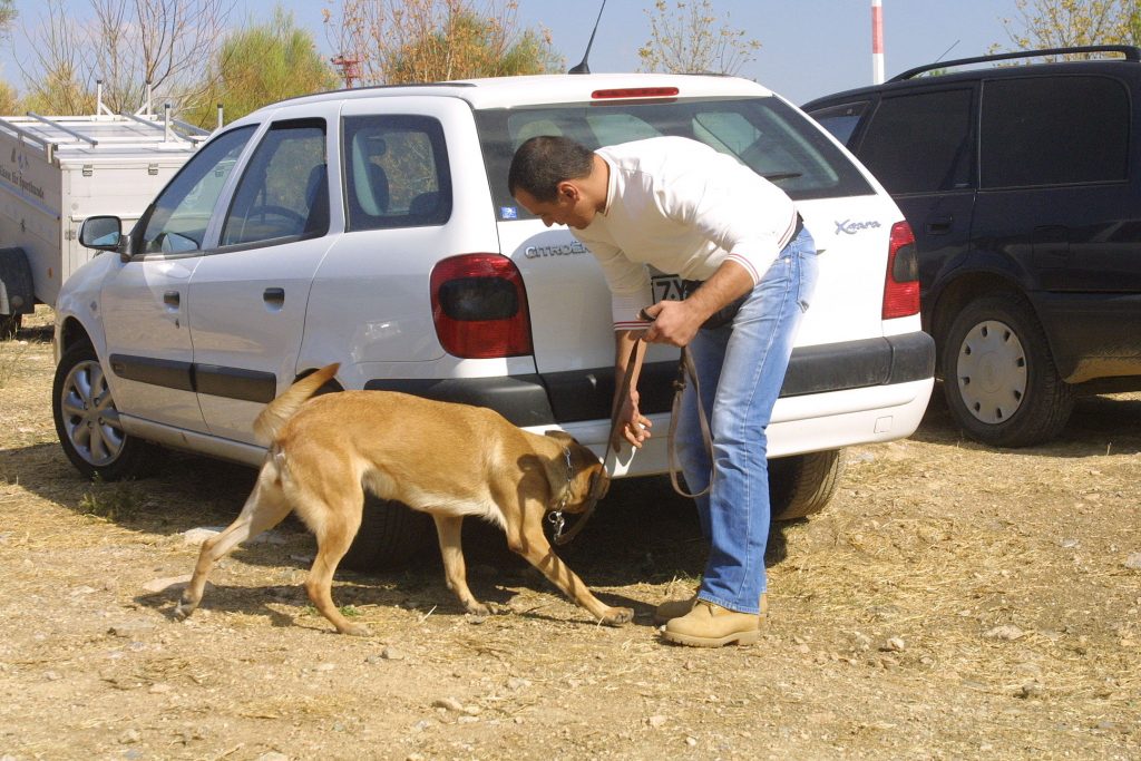 Τα ναρκωτικά ξετρύπωσε ειδικά εκπαιδευμένος σκύλος - ΦΩΤΟ EUROKINISSI