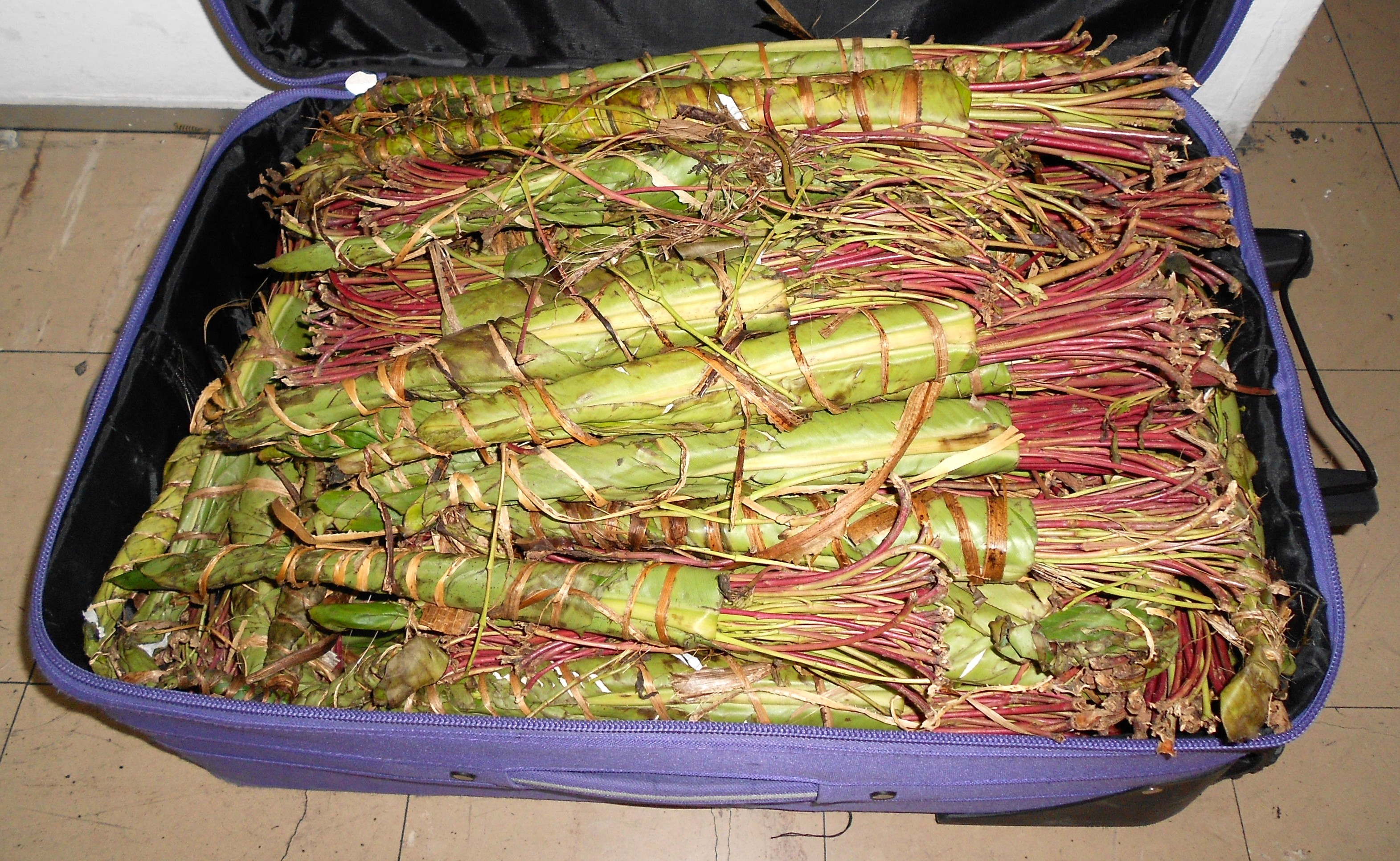 Αλλοδαπός από την Αιθιοπία προσπάθησε να φέρει στην Αθήνα το ναρκωτικό ΚΗΑΤ