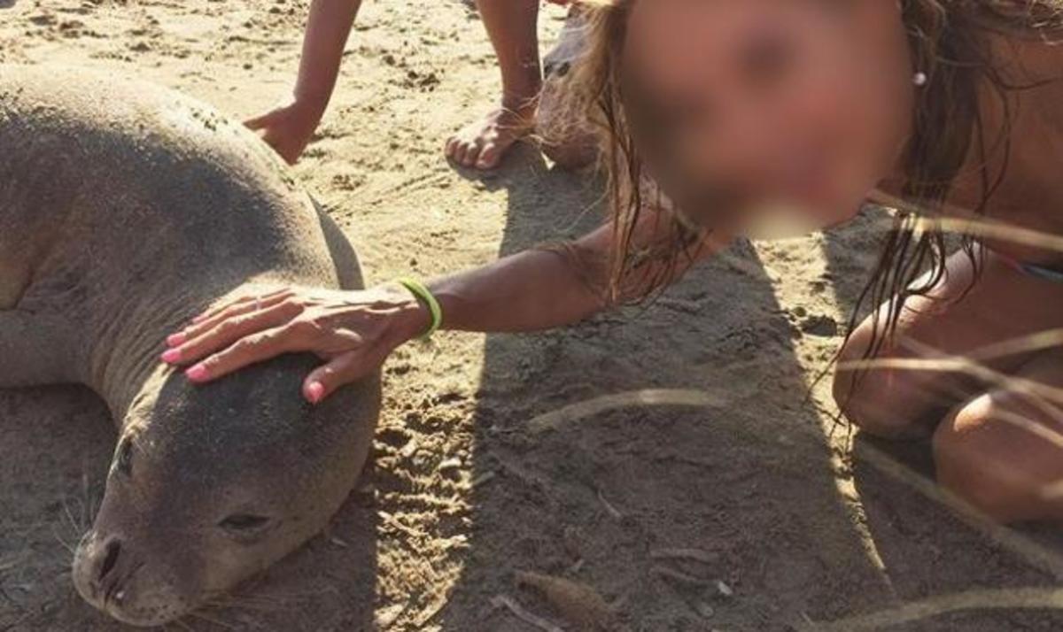 Δεν φαντάζεστε ποια Ελληνίδα celebrity χαϊδεύει την νεογέννητη φώκια!