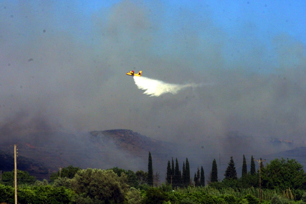 Mεγάλες καταστροφές σε καλλιέργειες και θερμοκήπια στο Ναύπλιο από τις πυρκαγιές