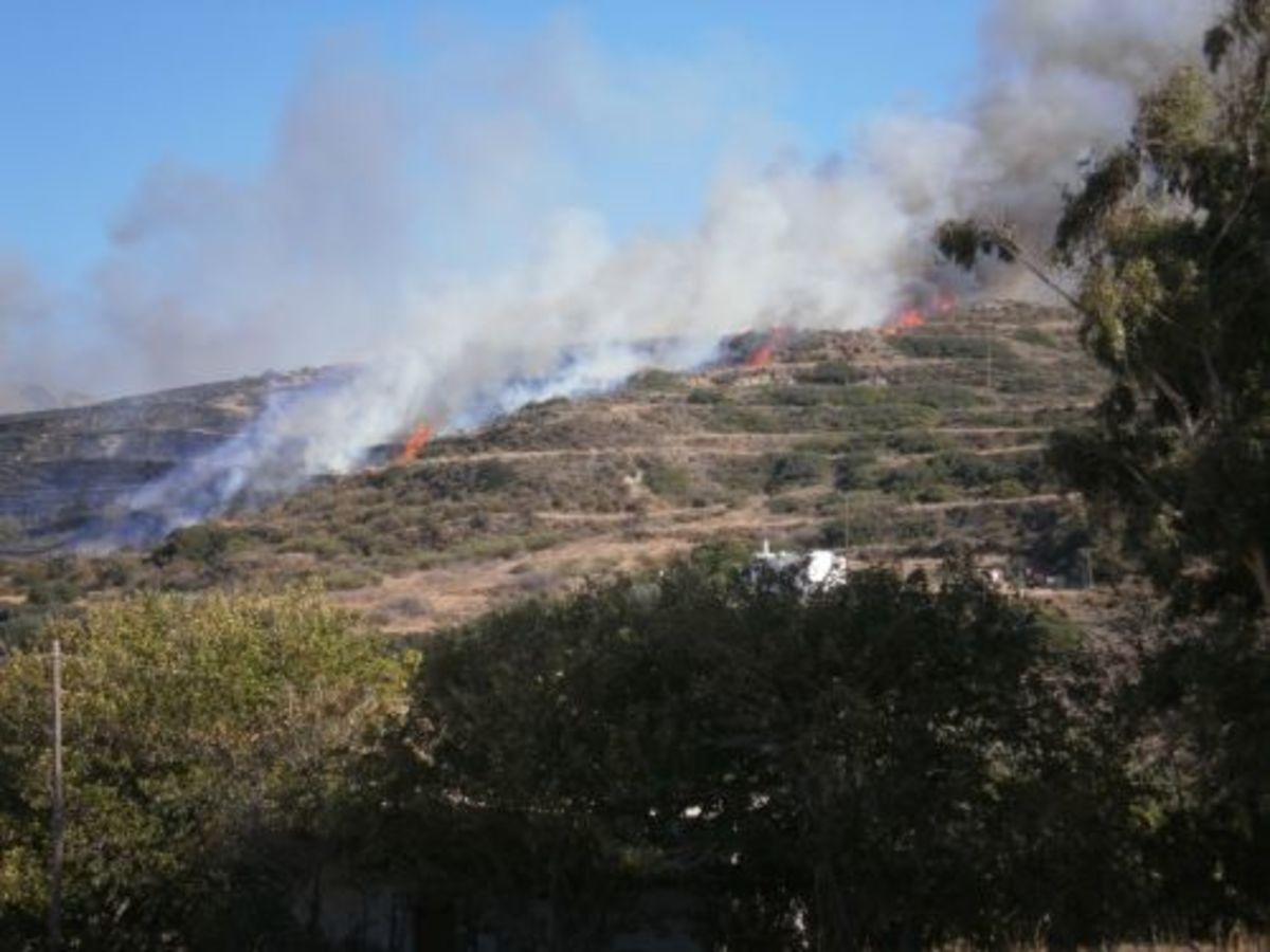 ΦΩΤΟ από naxos-news.gr