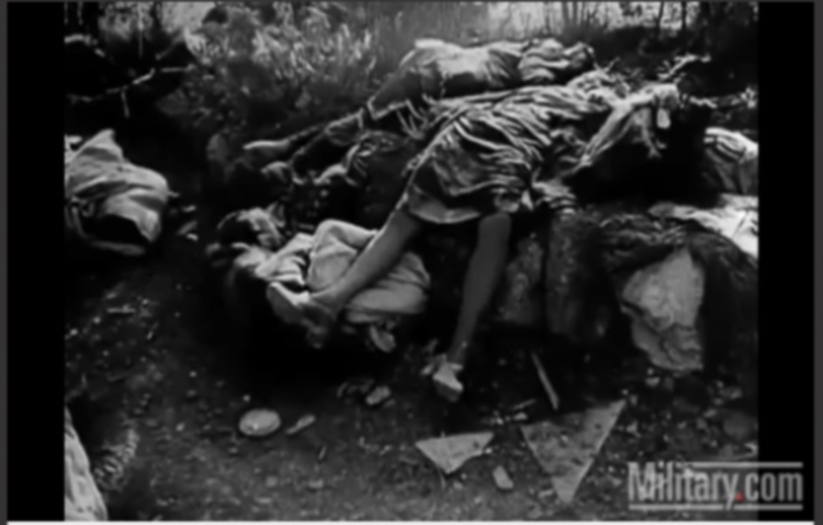 Η νύχτα των κρυστάλλων ήταν μόνο η αρχή – Ένα σκληρό βίντεο της πραγματικότητας