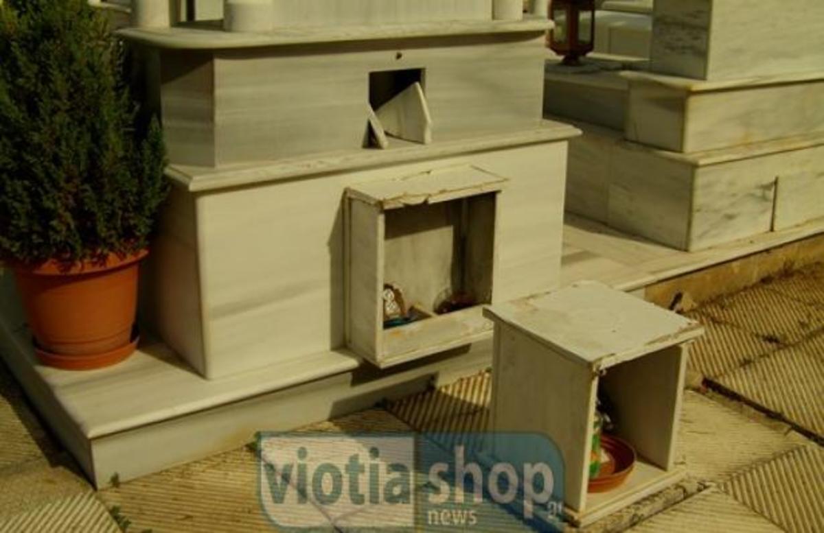 Εικόνα από το ViotiaShop