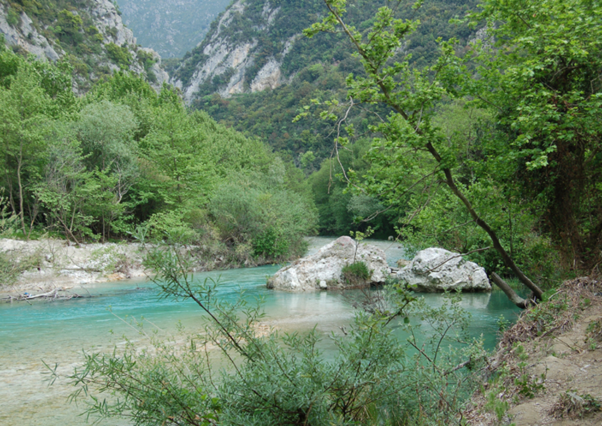 Νέοι Δημοσιογράφοι για το Περιβάλλον