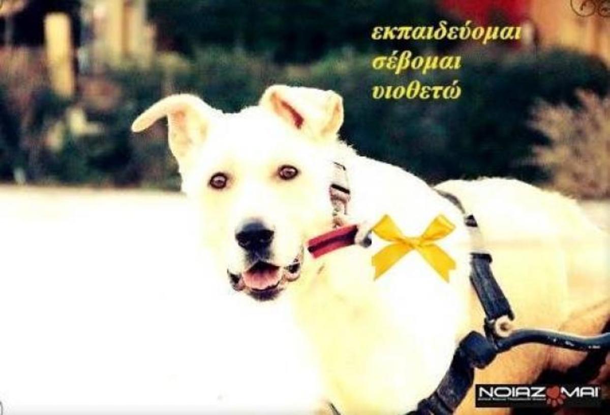 ΦΩΤΟ ΑΠΕ-ΜΠΕ