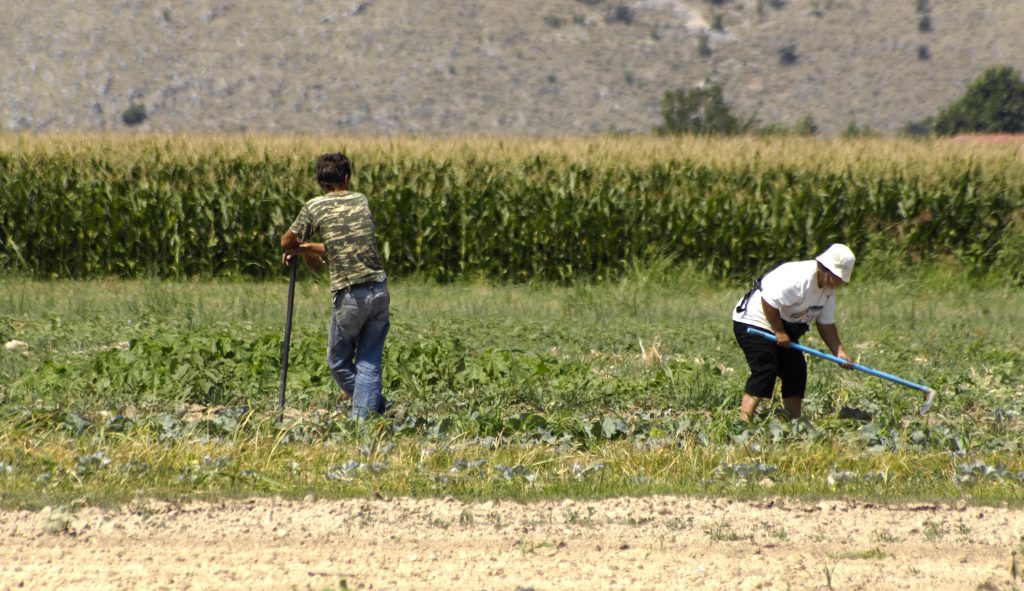 Φόβοι για νέο λιμό στην Β.Κορέα εξαιτίας του νέου νομίσματος