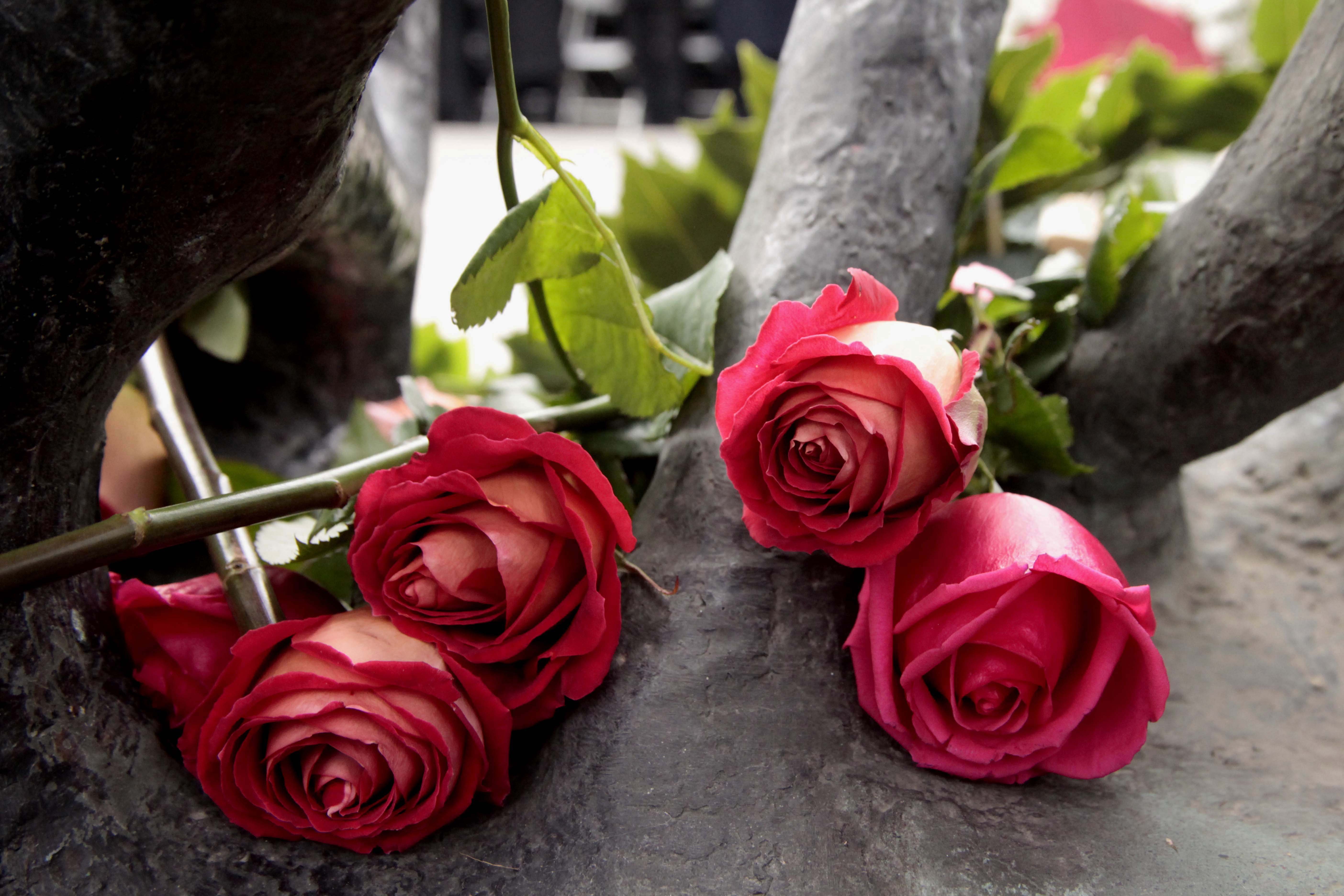 ΦΩΤΟ EUROKINISSI