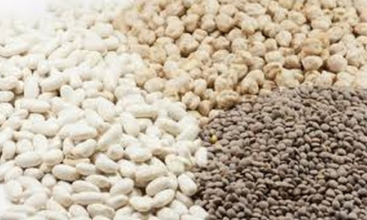 Πασίγνωστη παρουσιάστρια άδειασε σήμερα τα ράφια του σούπερ μάρκετ! Γέμισε το καρότσι της με όσπρια! ΦΩΤΟ