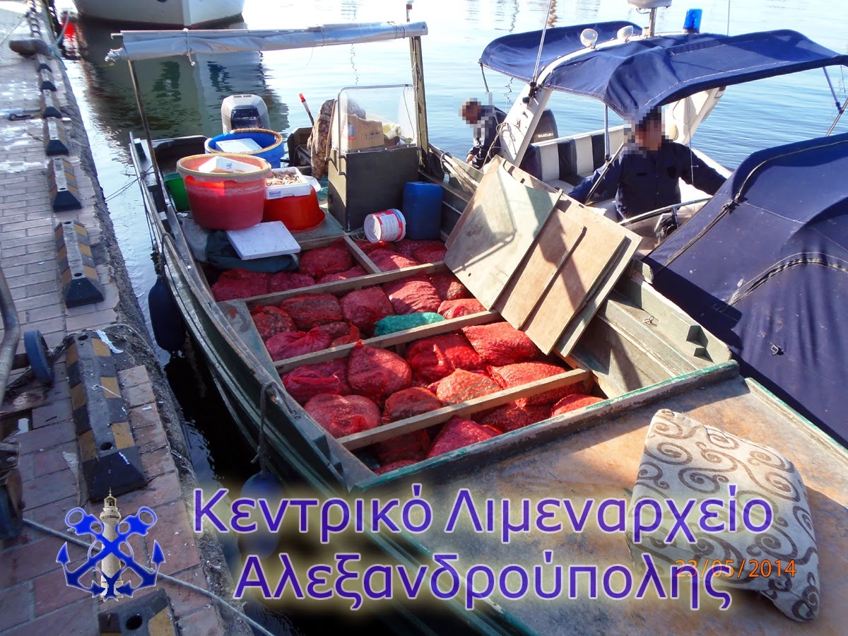 Αλεξανδρούπολη: Μετέφεραν σχεδόν δυο τόνους λαθραία… όστρακα