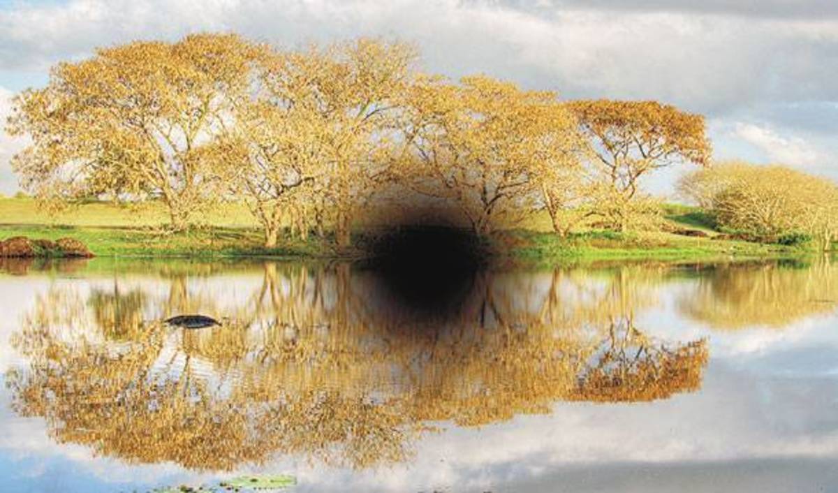 «Η ωχρά κηλίδα με απειλεί με μερική και ολική τύφλωση»