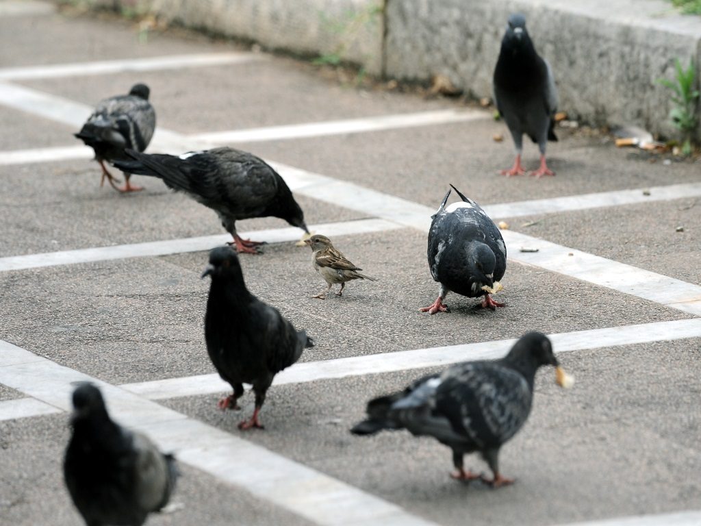 ΦΩΤΟ: EUROKINISSI