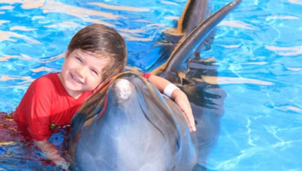 Δελφίνια βοηθούν παιδιά με αυτισμό – ΒΙΝΤΕΟ