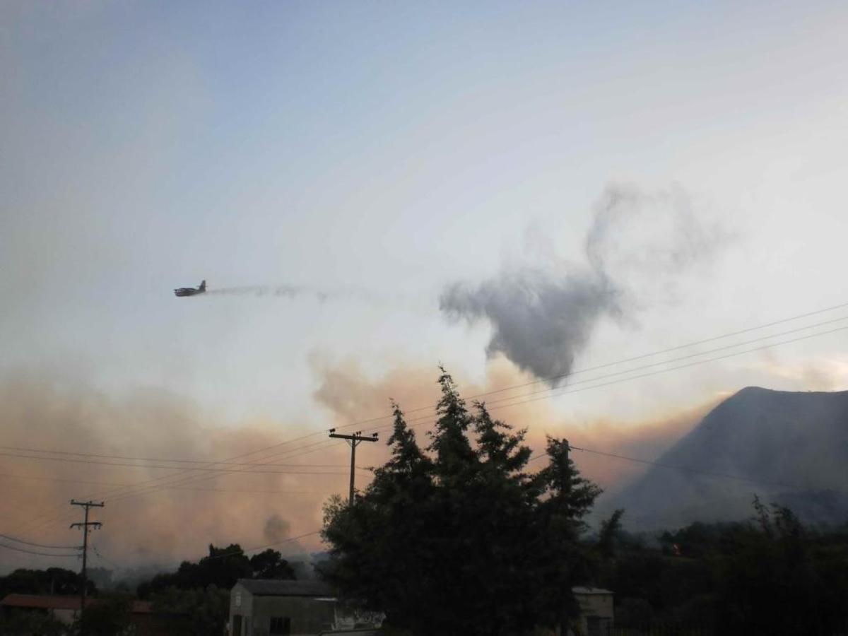 ΦΩΤΟ από το palairosnews